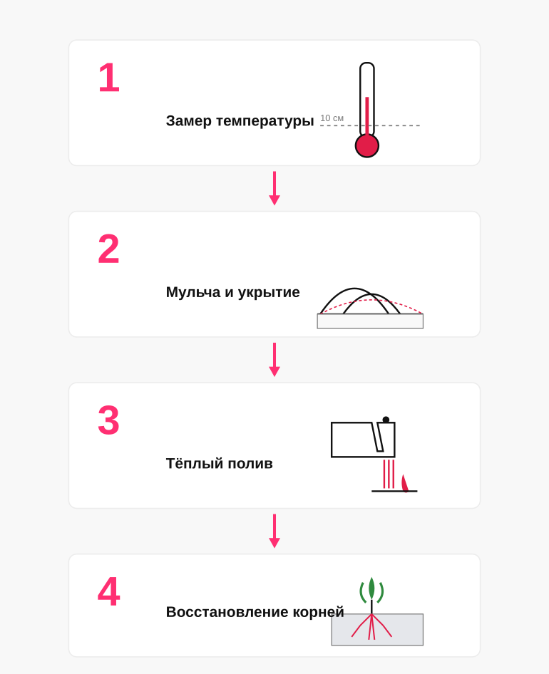 Что делать при холодной почве