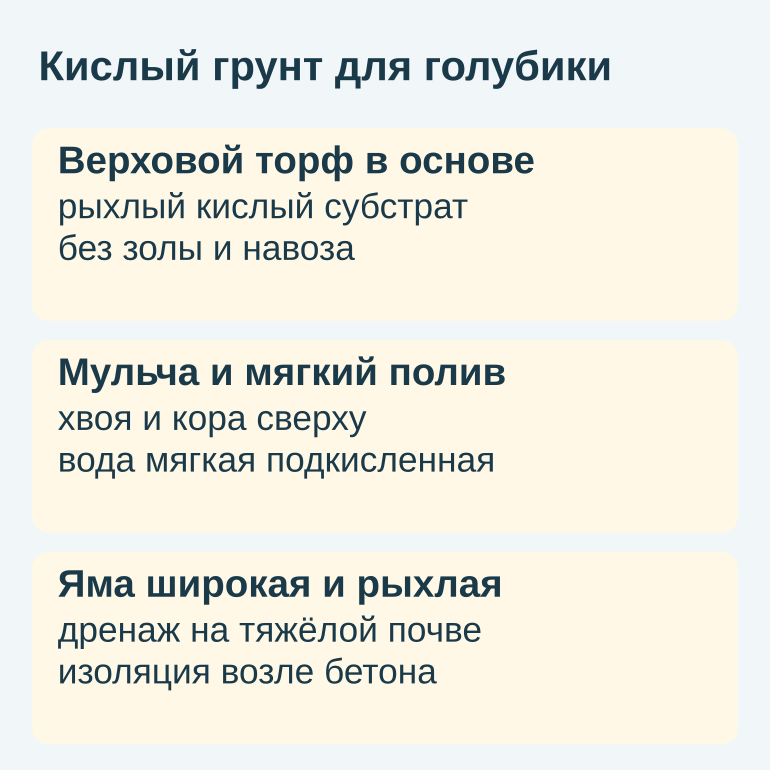 Памятка о кислом субстрате, мульче и поливе голубики