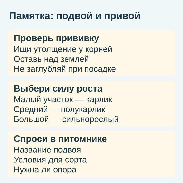 Памятка из трех блоков: проверка прививки, выбор силы роста и вопросы в питомнике