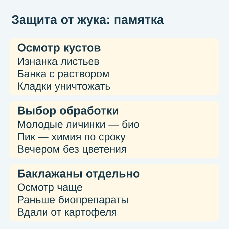 Памятка: осмотр, выбор обработки и защита баклажанов