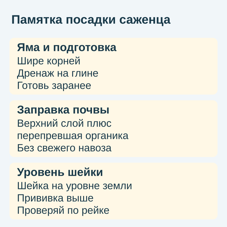 Памятка из трёх карточек о яме, заправке и уровне корневой шейки