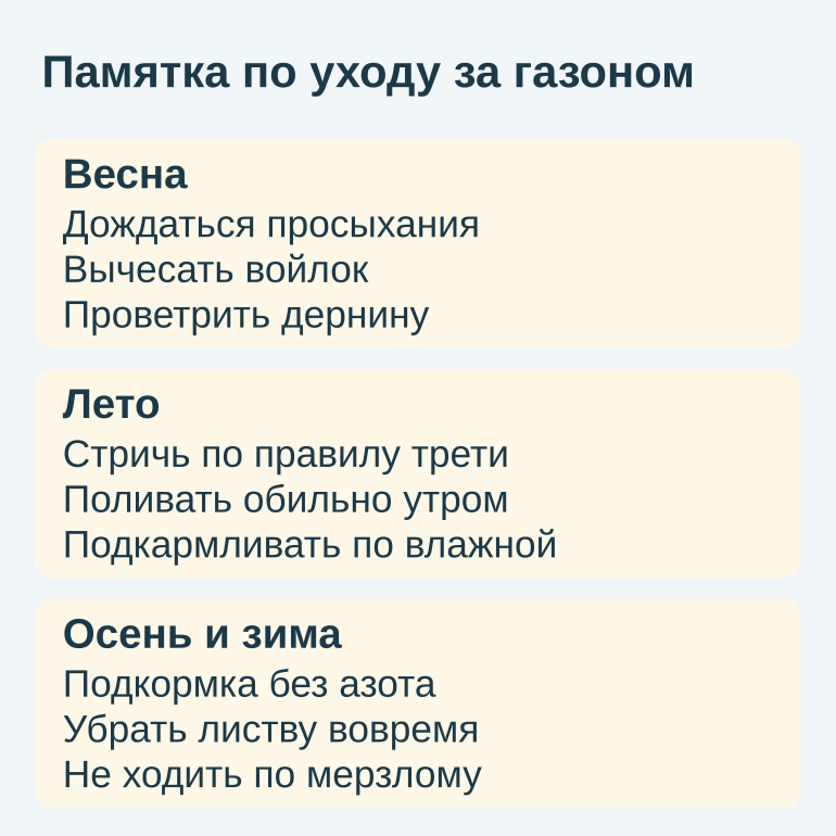 Памятка по сезонному уходу за газоном: весна, лето, осень и зима