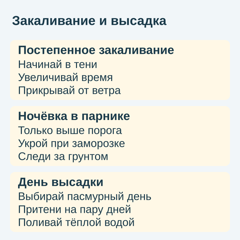 Памятка по закаливанию и высадке рассады в теплицу