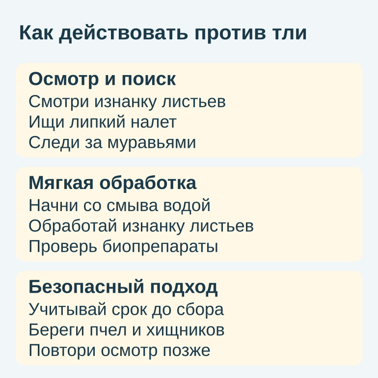 Памятка: осмотр, мягкая обработка и безопасность