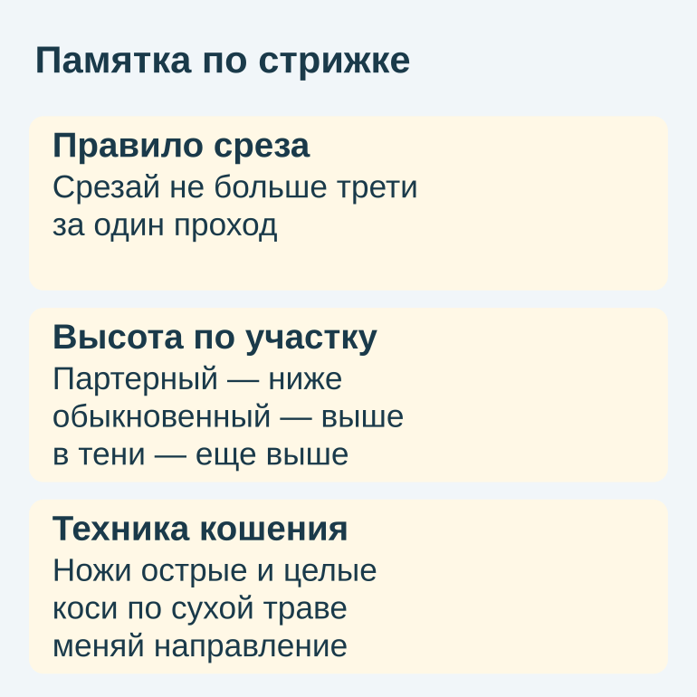 Памятка по стрижке газона: правило среза, высота и техника кошения