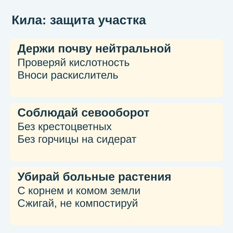 Памятка по защите от килы: почва, севооборот, удаление растений
