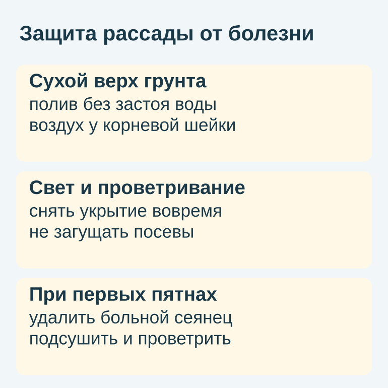 Памятка о сухости грунта, проветривании и удалении больных сеянцев