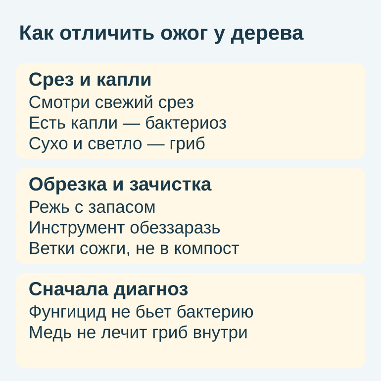 Памятка отличия двух ожогов