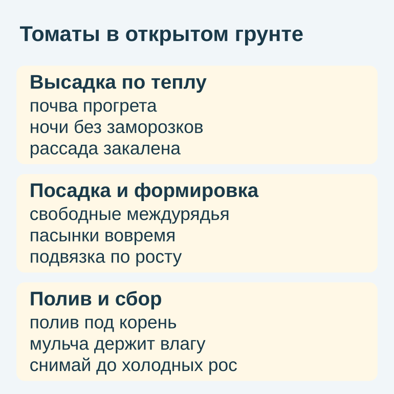 Памятка по выращиванию томатов: высадка, формировка, полив и сбор