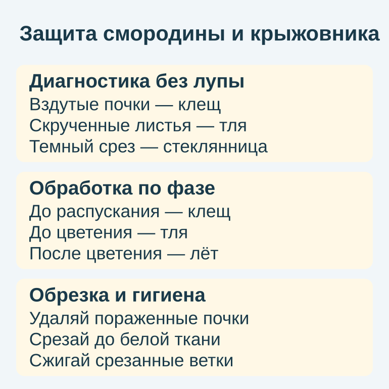 Памятка по диагностике и защите смородины от вредителей