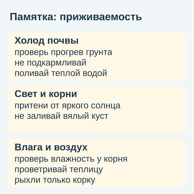Памятка с тремя блоками проверки рассады: холод, свет и влага