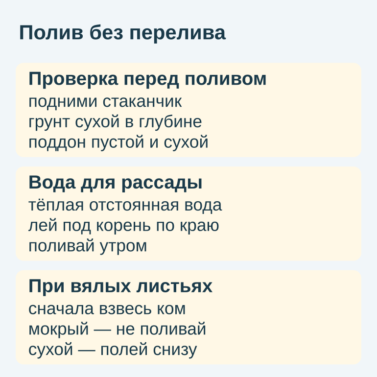 Памятка о проверке полива, воде и вялых листьях