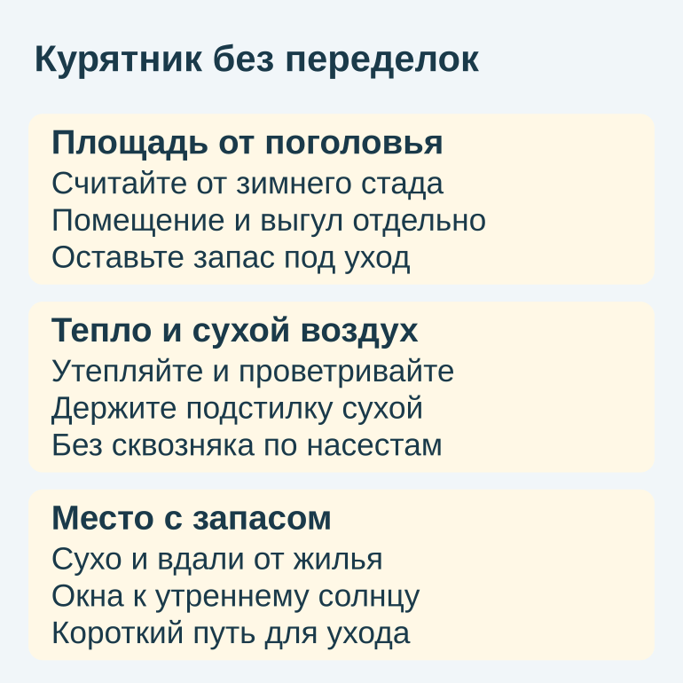 Памятка: площадь, тепло и место курятника