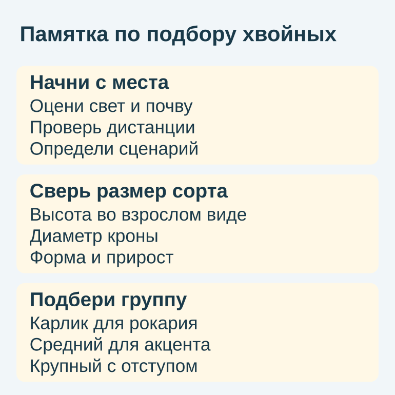 Памятка по подбору хвойных по месту и размеру