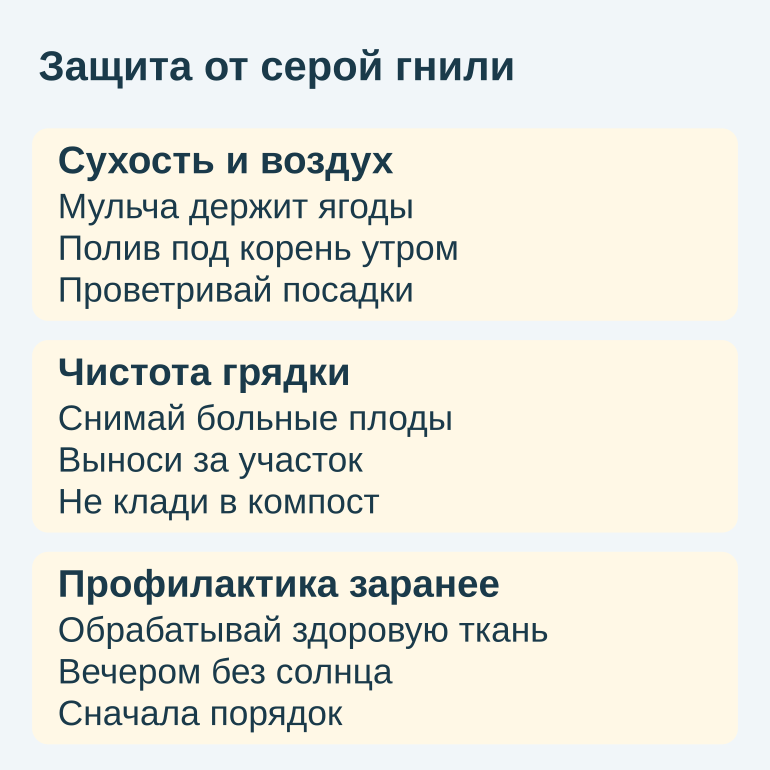 Памятка по профилактике серой гнили: сухость, чистота и обработка заранее