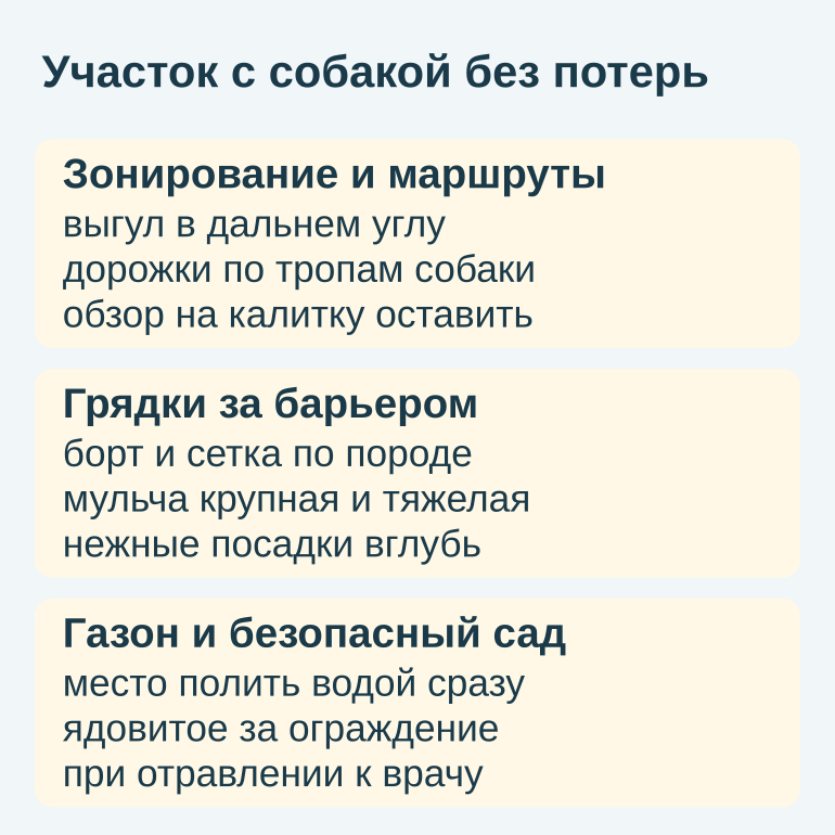 Памятка: зонирование, защита грядок и безопасный сад