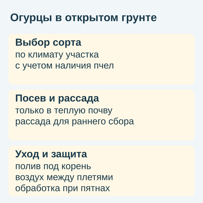 Памятка по выбору сорта и уходу