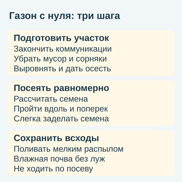 Три этапа закладки газона: подготовка участка, равномерный посев и бережный полив